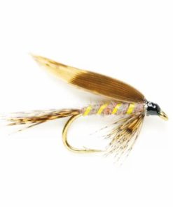 Pacemakerco.shopee91bc4af3 1