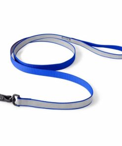 Pacemakerco.shopef4d86e9b4 1