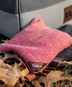 Pacemakerco.shopf0c17fdb54 3