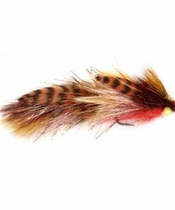 Pacemakerco.shopf0ee97d246 1