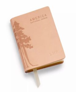 Pacemakerco.shopf3e7765f6a 1