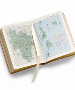 Pacemakerco.shopf3e7765f6a 2