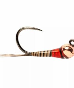 Pacemakerco.shopf6f0fc764e 1