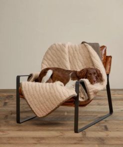 Pacemakerco.shopf8c6075681 3