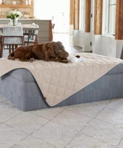 Pacemakerco.shopfa94480233 1