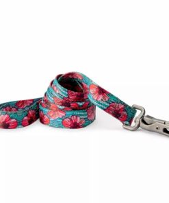 Pacemakerco.shopfcfe3315b0 1