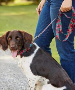 Pacemakerco.shopfcfe3315b0 2